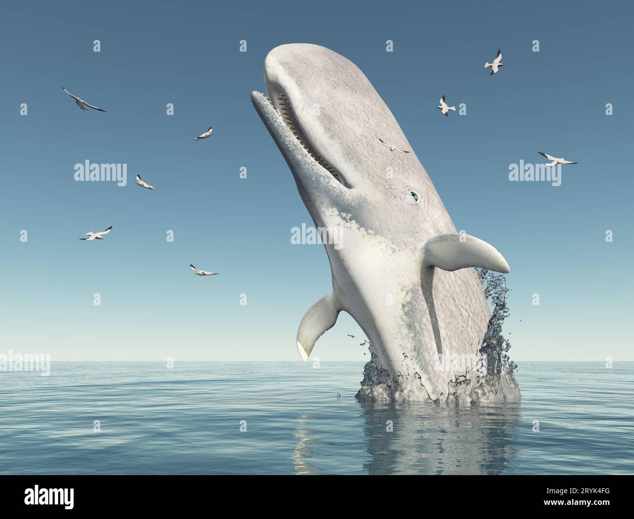 Springender Wal Sperm whale jumps out of the water Stock Photo - Alamy