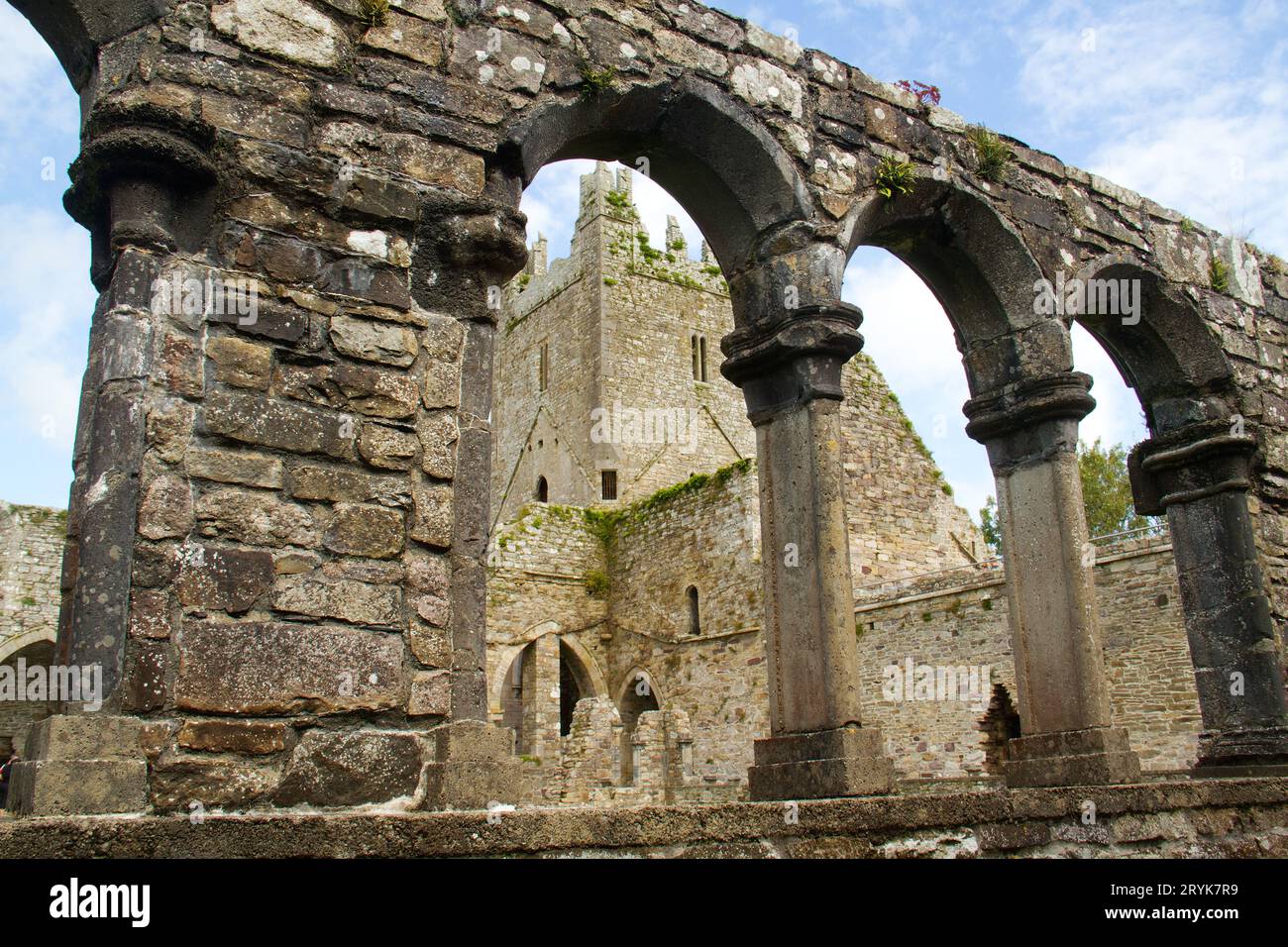 Ruin of Jerpoint Abbey, a medieval monastery near Thomastown, Ireland Stock Photo