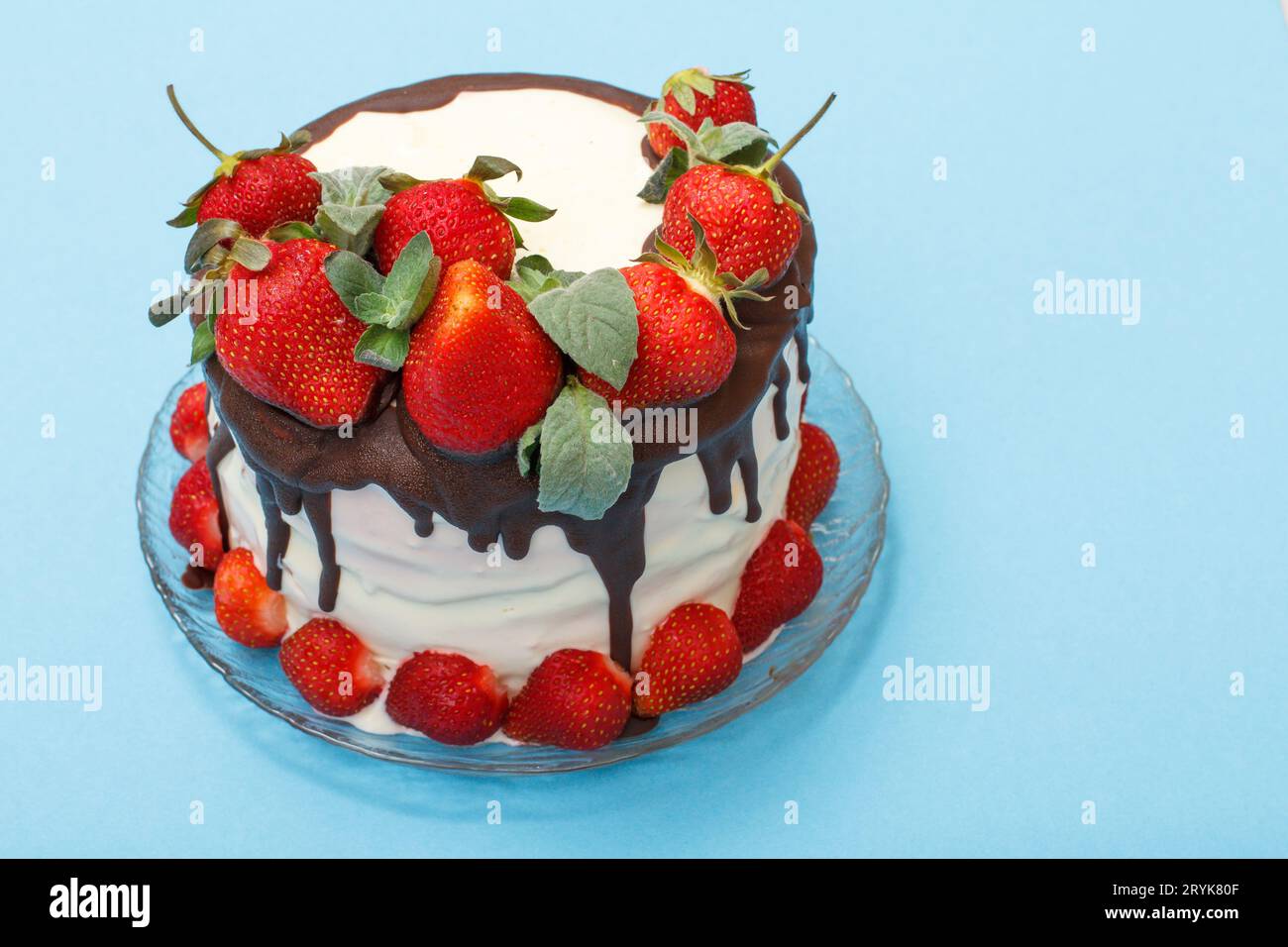 Homemade fresh cake chocolate hi-res stock photography and images - Alamy
