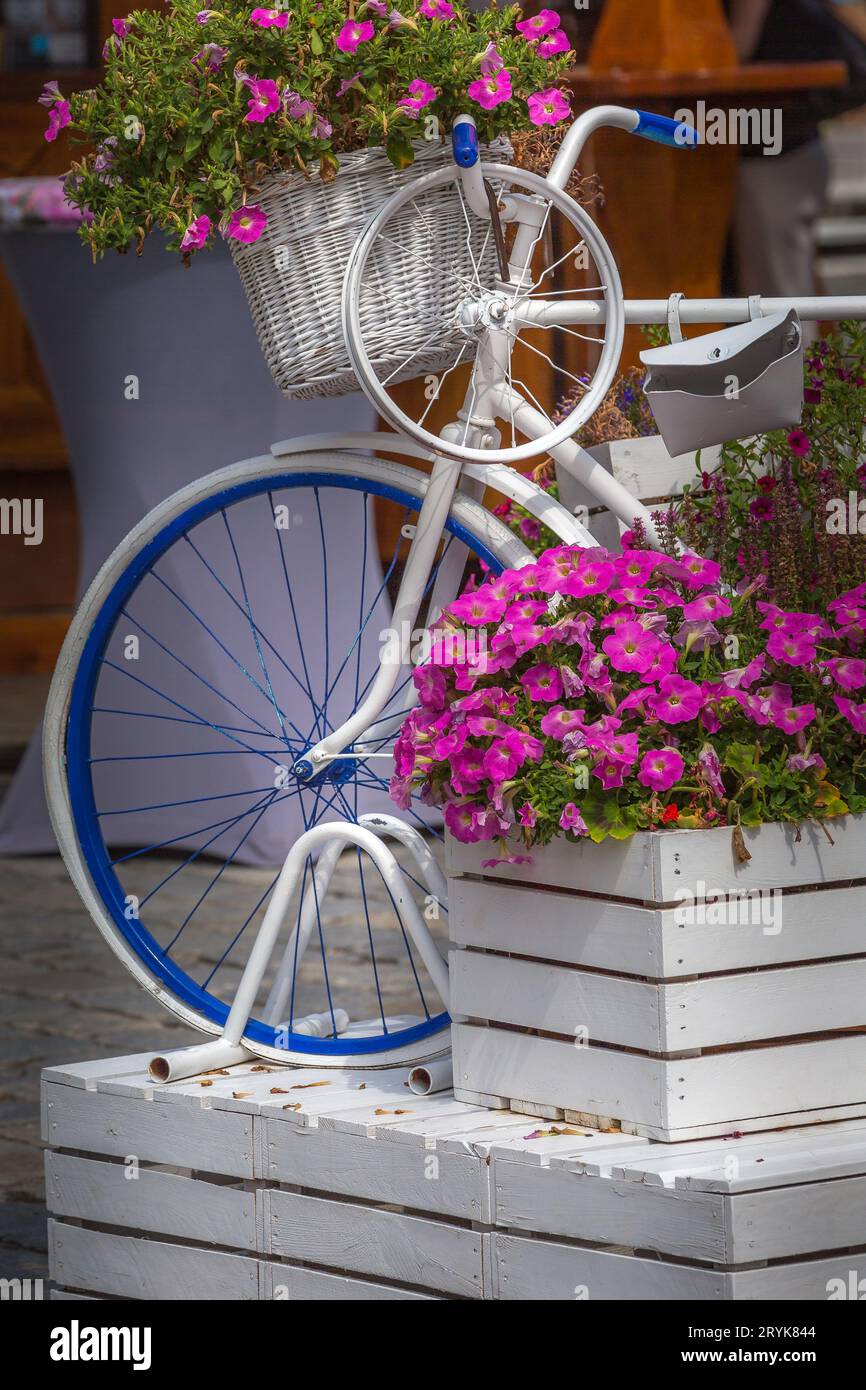 White bycicle and flowers outdoor decorations Stock Photo