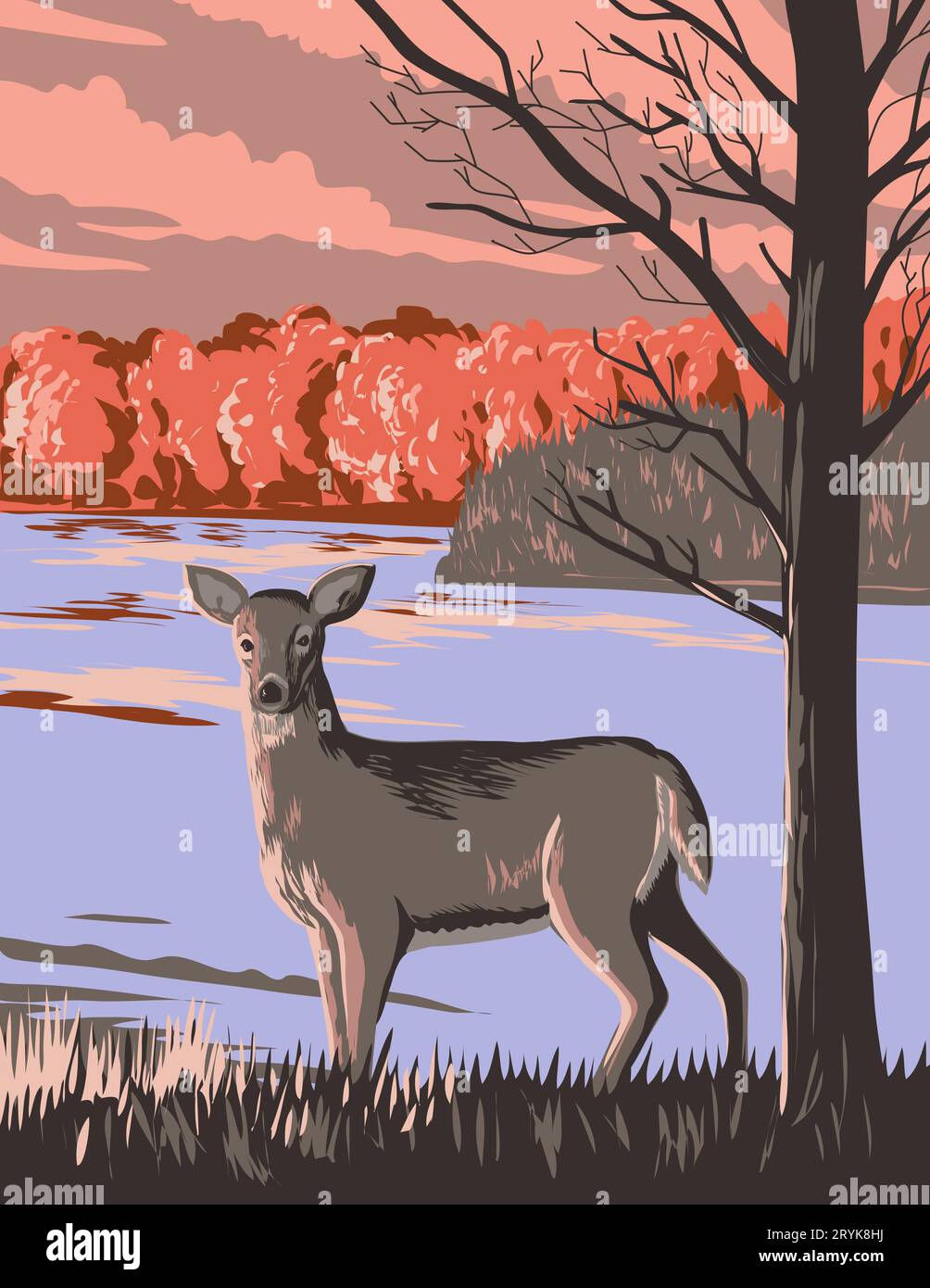 White Tailed Deer at Rouge National Urban Park in Greater Toronto Area Ontario Canada WPA Poster Art Stock Photo