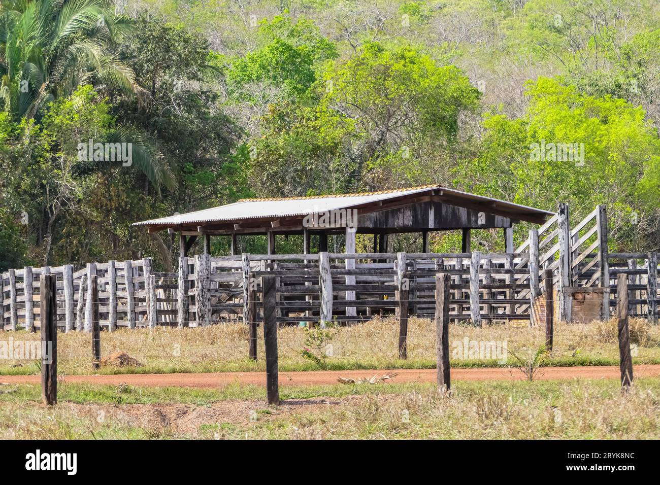 Cattle shed on pasture land in the Brazilian Cerrado Stock Photo