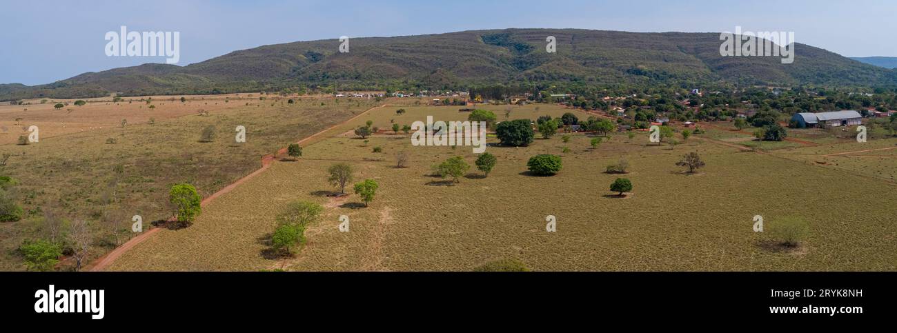 Mato gross cerrado hi-res stock photography and images - Alamy