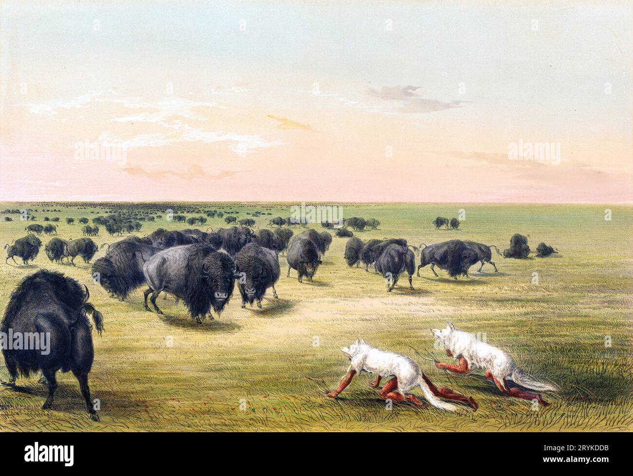 Buffalo Hunt, Under the White Wolf Skin. Original from the Minneapolis Institute of Art. Stock Photo