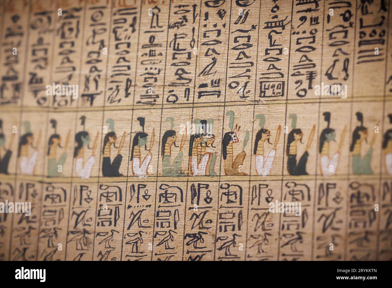 Ancient Egyptian hieroglyphs on papyrus - Cairo Stock Photo