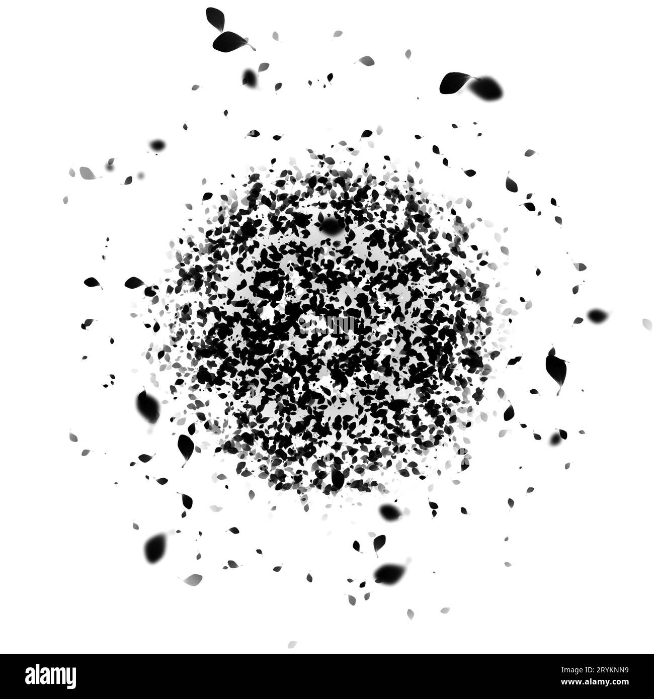 Abstract black and white background with falling petals. Design element