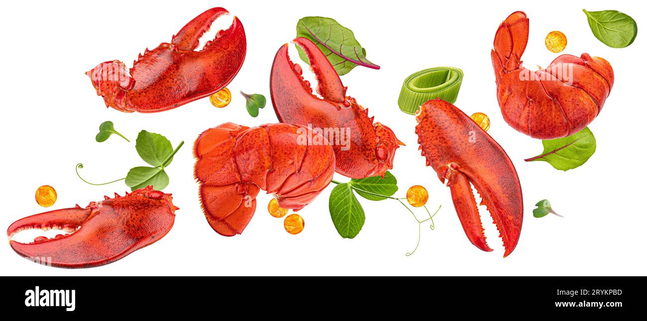 Lobster claws and tails isolated on white background Stock Photo Alamy — free download