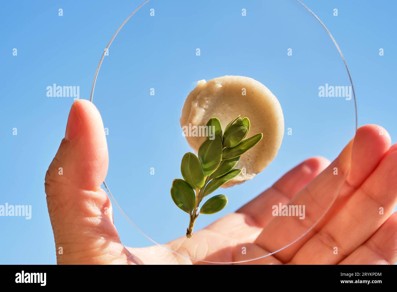 Swatch of an exfoliating peel in hand. Stock Photo