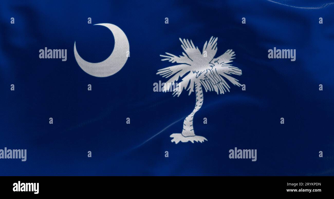 Detail of the South Carolina state flag waving. Blue field with white palmetto tree and crescent