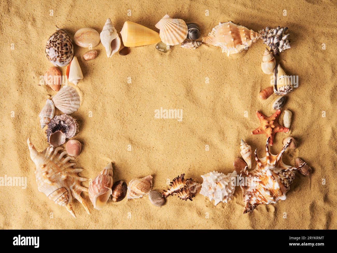 Seashells and starfish frame on sandy beach background with copy space Stock Photo