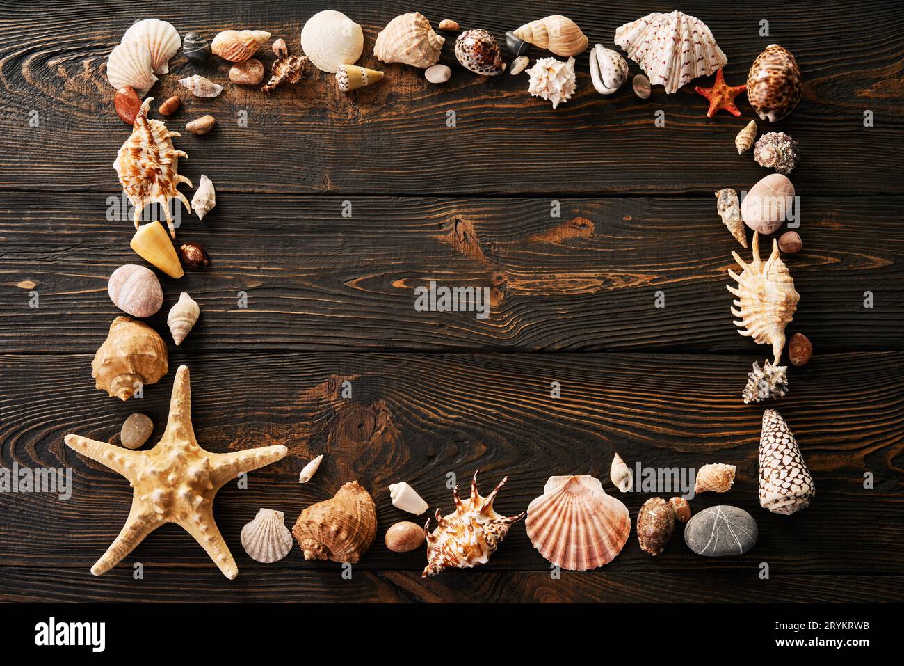 Seashells frame with copy space for text on dark wooden background Stock Photo