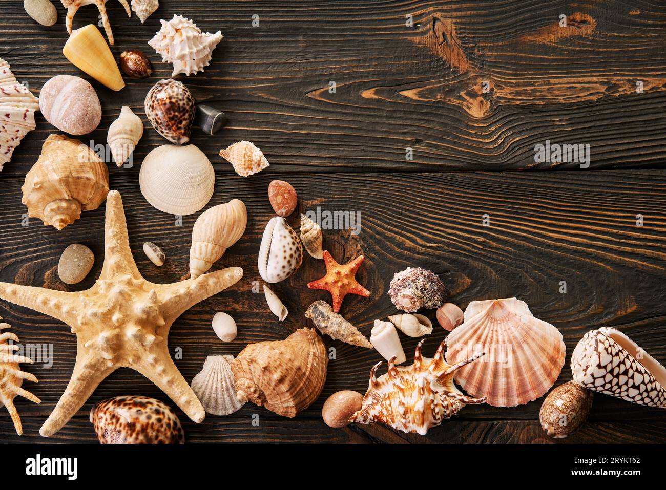 Colorful Starfish and seashell marine decoration with space copy on wooden  background Stock Photo - Alamy