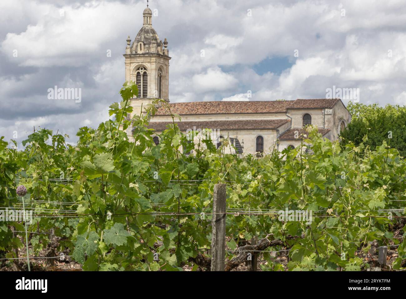 Medoc, Bordeaux, France - June 6th 2019 - Church located in a french vineyard behind spring vines Stock Photo