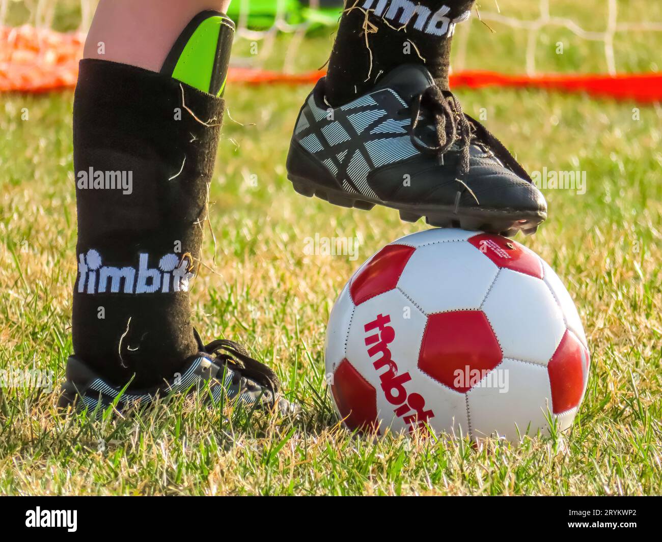 Calgary, Alberta. Canada. May 3, 2023. A young person using Athletic Works Soccer Cleats Shoes. Concept: Football soccer season. Stock Photo