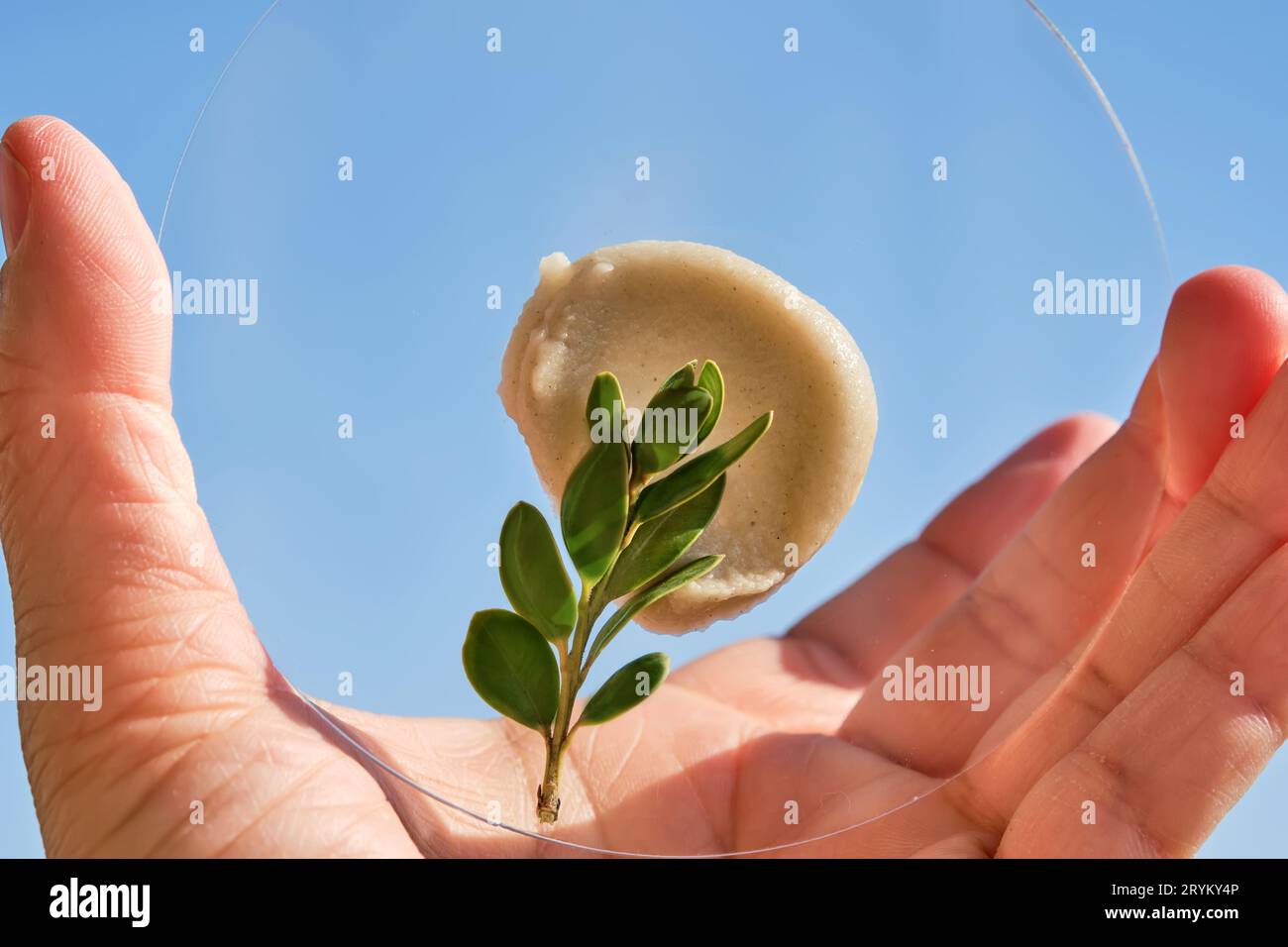 Swatch of an exfoliating peel in hand. Stock Photo