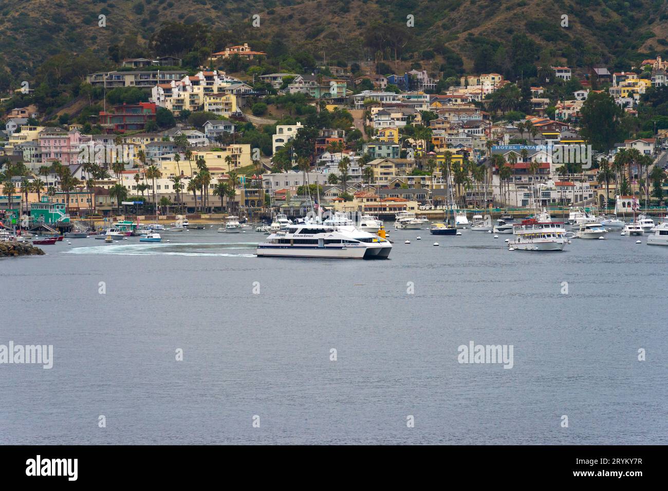 Catalina island ferry hires stock photography and images Alamy