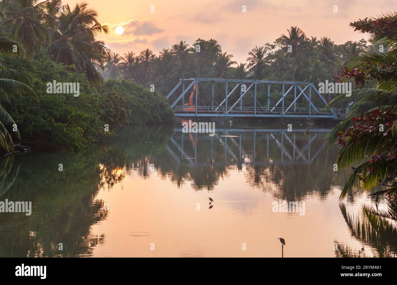 Tropical river scenery hi-res stock photography and images - Alamy