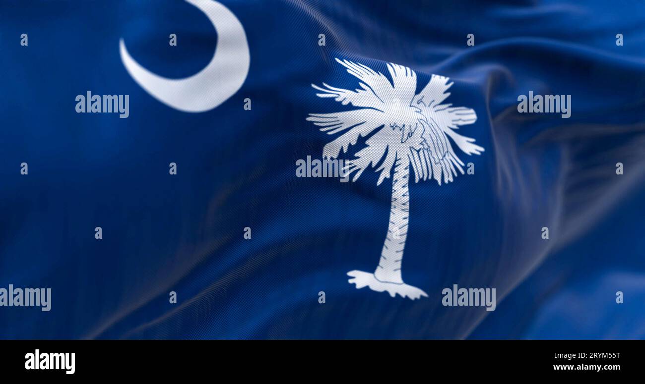 Detail of the South Carolina state flag waving. Blue field with white palmetto tree and crescent