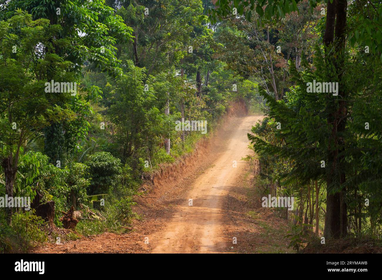 Rural route hi-res stock photography and images - Alamy