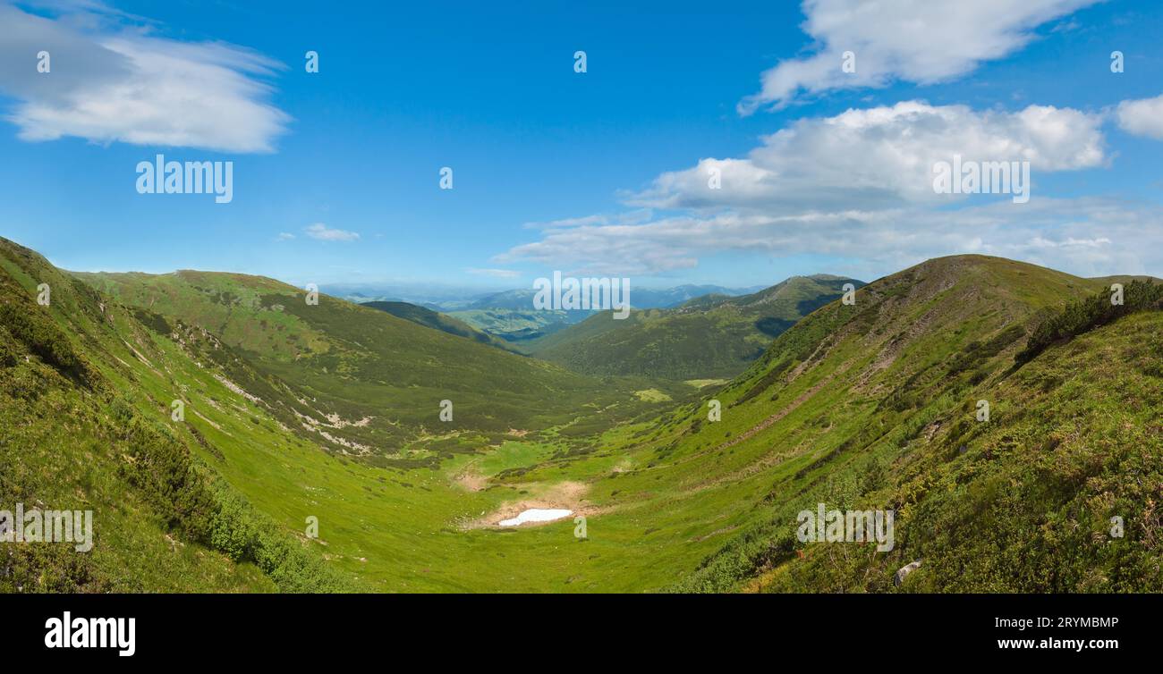 Summer mountain meadow panorama view with juniper forest and snow remains on ridge in distance. Stock Photo
