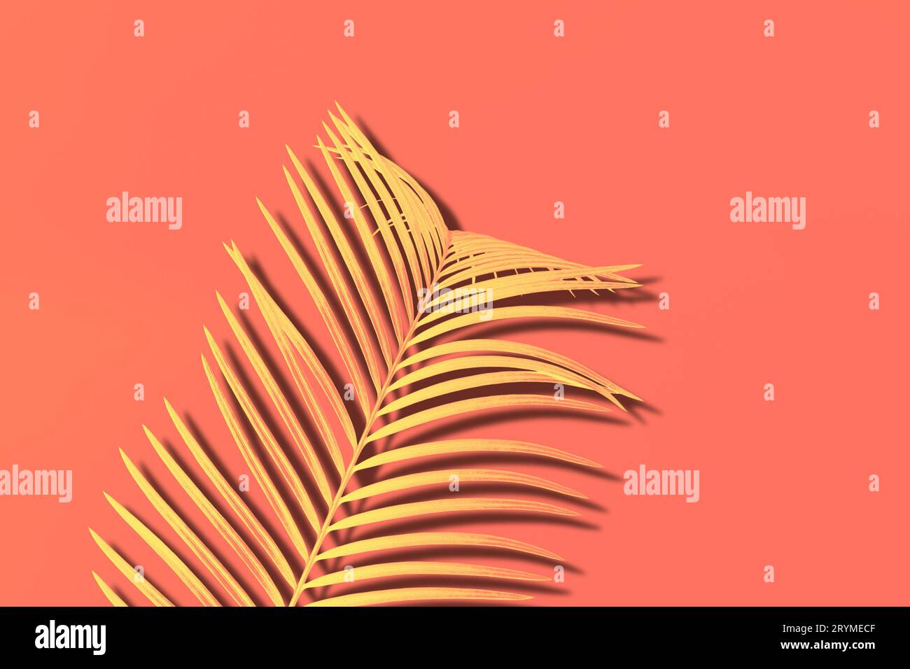 Yellow Palm branch on living coral background. Abstract duotone effect Stock Photo