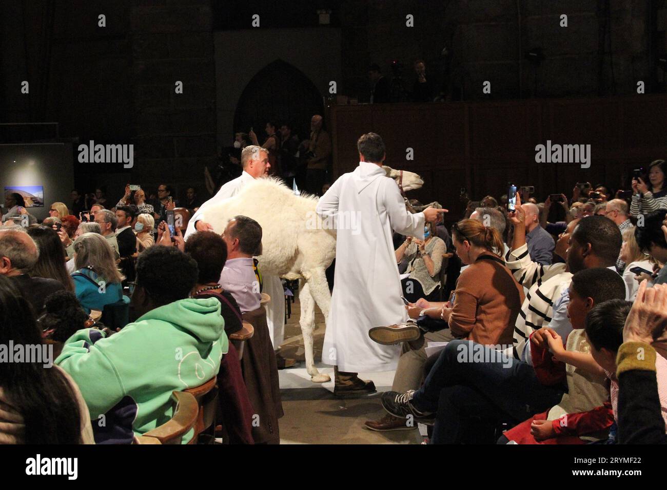 New York, New York, USA. 1st Oct, 2023. New York, October 1, 2023 .The Feast of St. Francis and Blessing of the Animals at The Cathedral of Saint John the Devine is a Cathedral tradition.The Cathedral Church of Saint John the Divine had in attendance a Sloth, Owl, Camel, Goats a Boa Constrictor Cats and Dogs (Credit Image: © Bruce Cotler/ZUMA Press Wire) EDITORIAL USAGE ONLY! Not for Commercial USAGE! Stock Photo