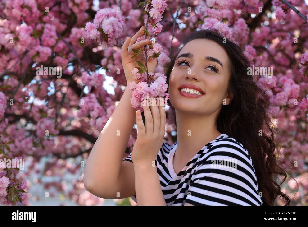 Beautiful woman near blossoming sakura tree on spring day Stock Photo ...
