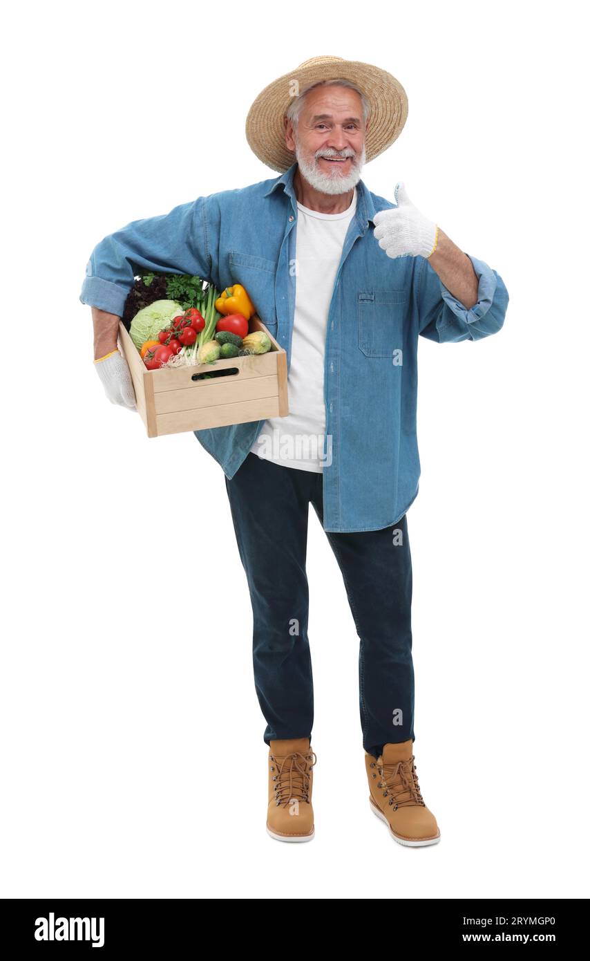 Harvesting season. Happy farmer holding wooden crate with vegetables ...