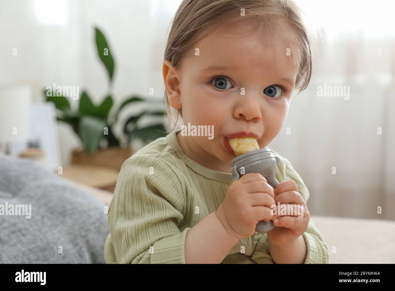 Cute baby girl with nibbler at home Stock Photo Alamy
