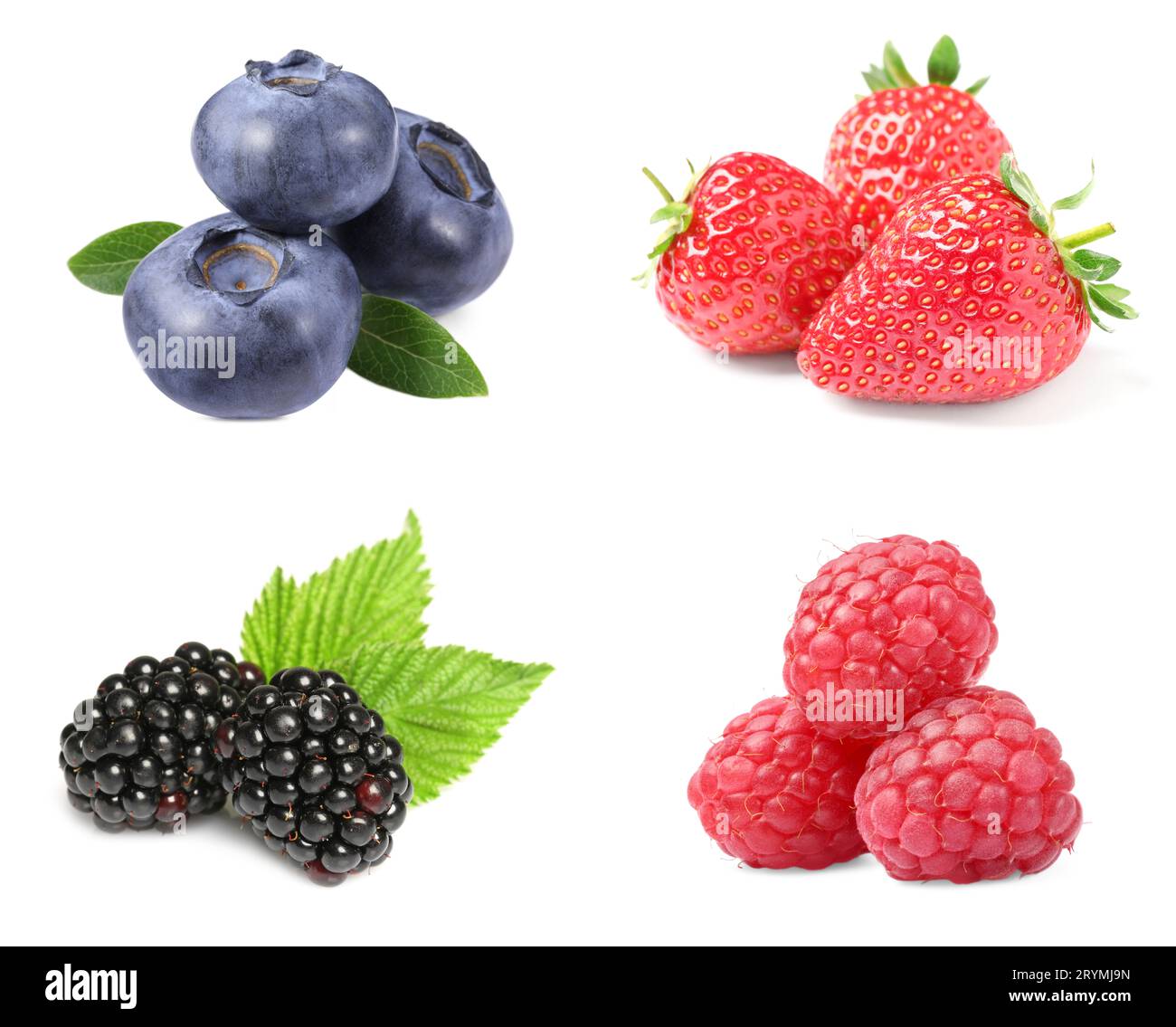 Fresh blueberries and other berries isolated on white, set Stock Photo ...