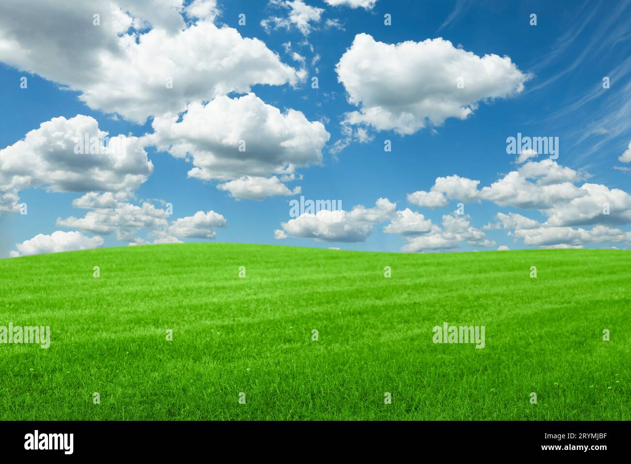 Lush green grass under bright blue sky with fluffy clouds Stock Photo ...