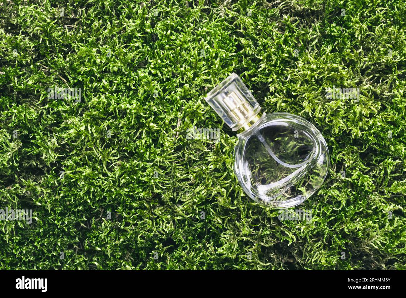 Perfume bottle on beautiful moss background. Nature fragrance beauty concept Stock Photo
