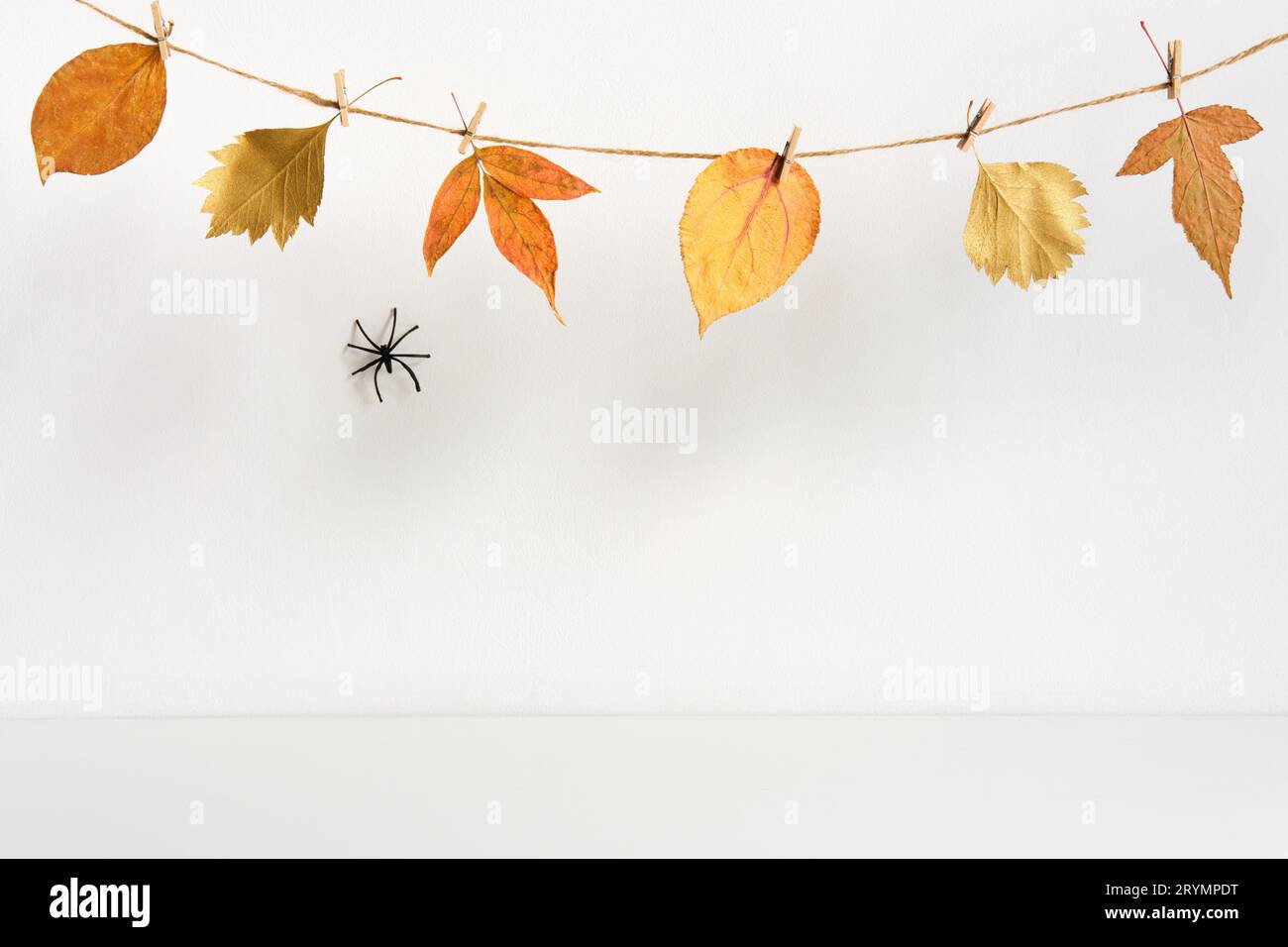Halloween backdrop with spider and floral garland on table wall background Stock Photo