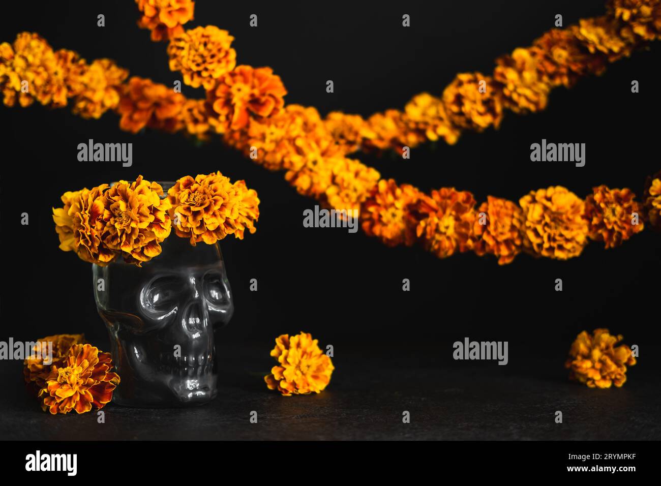 Skull with marigold flowers wreath and garlands. Dia de los muertos day or day of the dead Stock