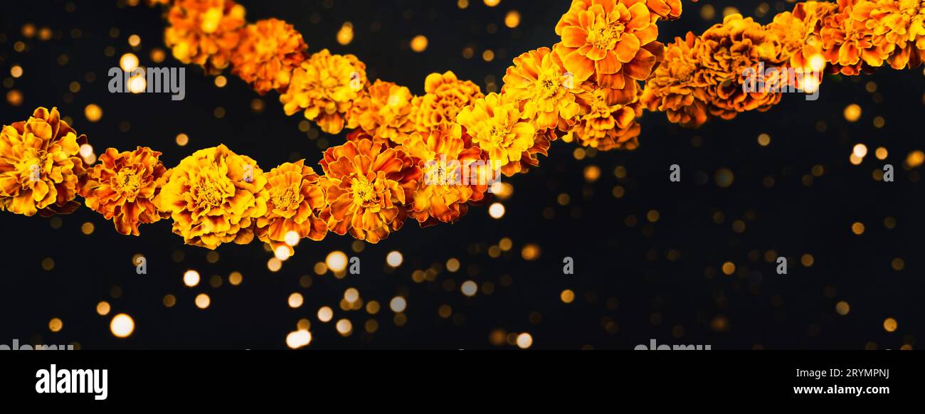Marigold flowers Garlands on black. Dia de los muertos day, day of the