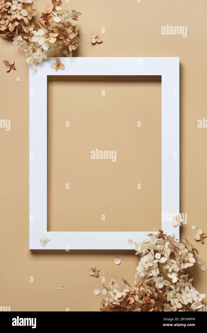 Stylish frame discount