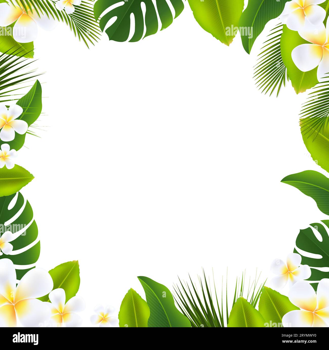 Frame With Green Tropical Leaves And White Background With Gradient ...