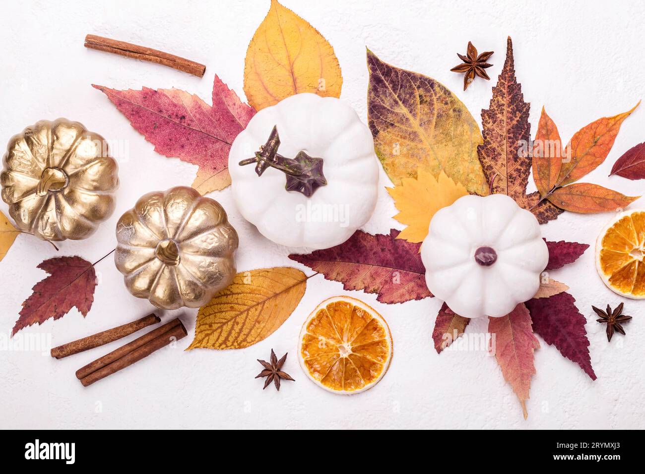 Pumpkins leaves autumn spices hi-res stock photography and images - Alamy