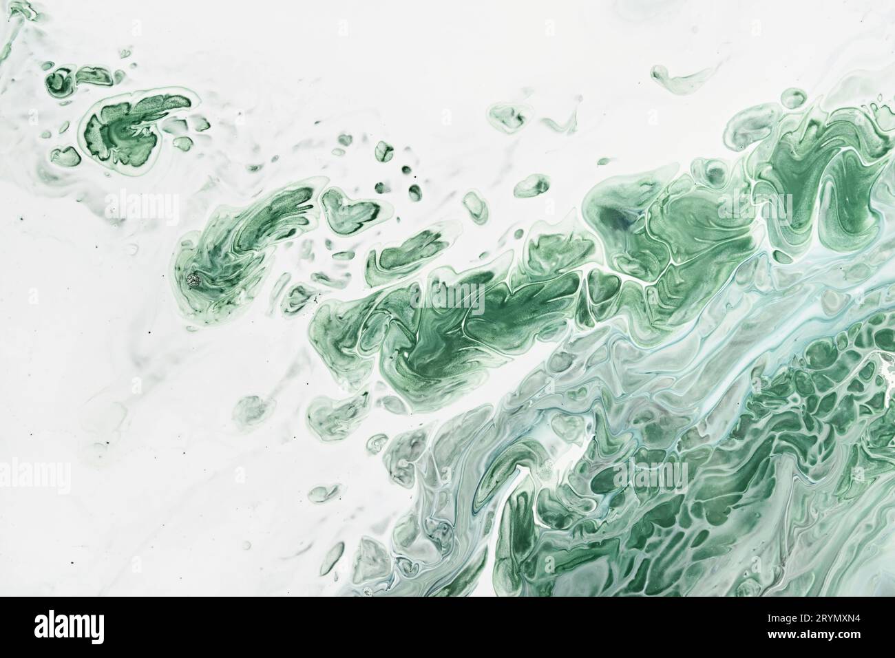 Fluid Art acrylic paints. Abstract mixing green waves on white background. Liquid flows splashes. Marble effect background or te Stock Photo