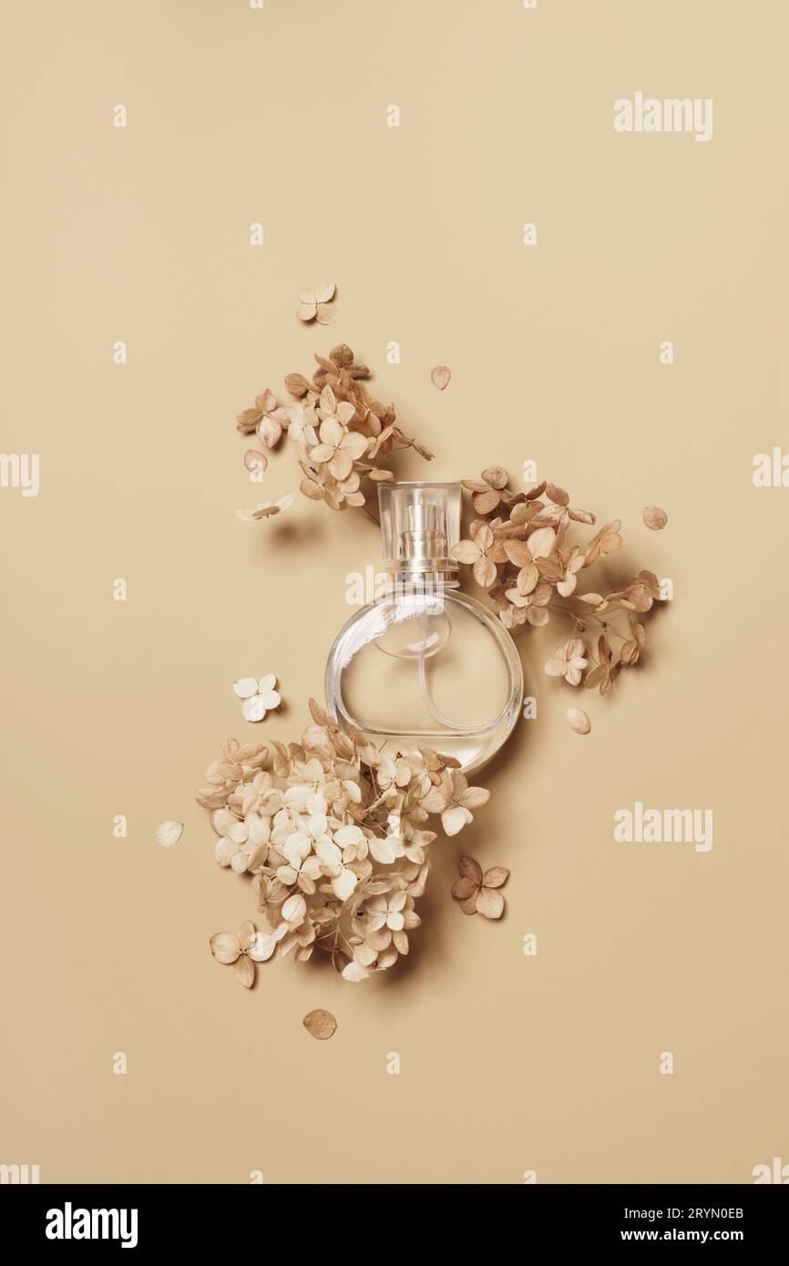 Women's perfume bottle mockup and dry hydrangea flowers on beige background. Natural earthy colors Stock Photo