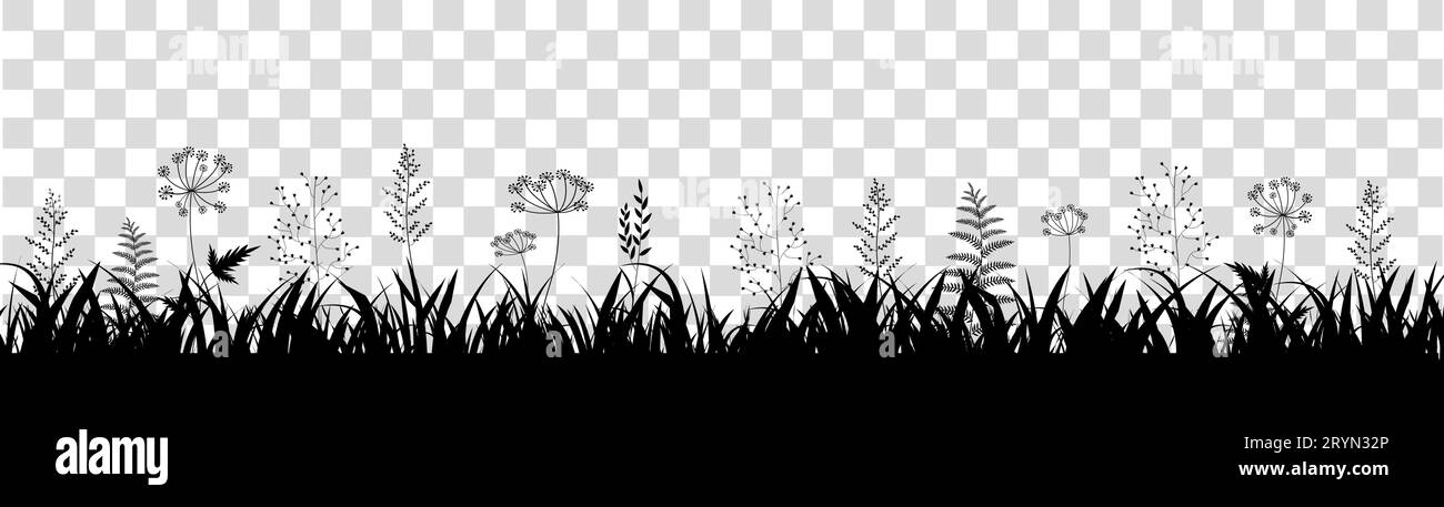 Blades of grass illustration Black and White Stock Photos & Images - Alamy