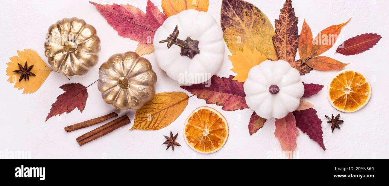 Pumpkins leaves autumn spices hi-res stock photography and images - Alamy
