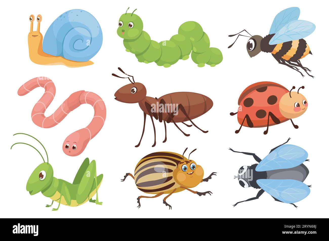 Cute insects mega set in graphic flat design. Bundle elements of funny  mascots, snail, caterpillar, bee, worm, ant, ladybug, grasshopper,  colorado, be Stock Vector Image & Art - Alamy