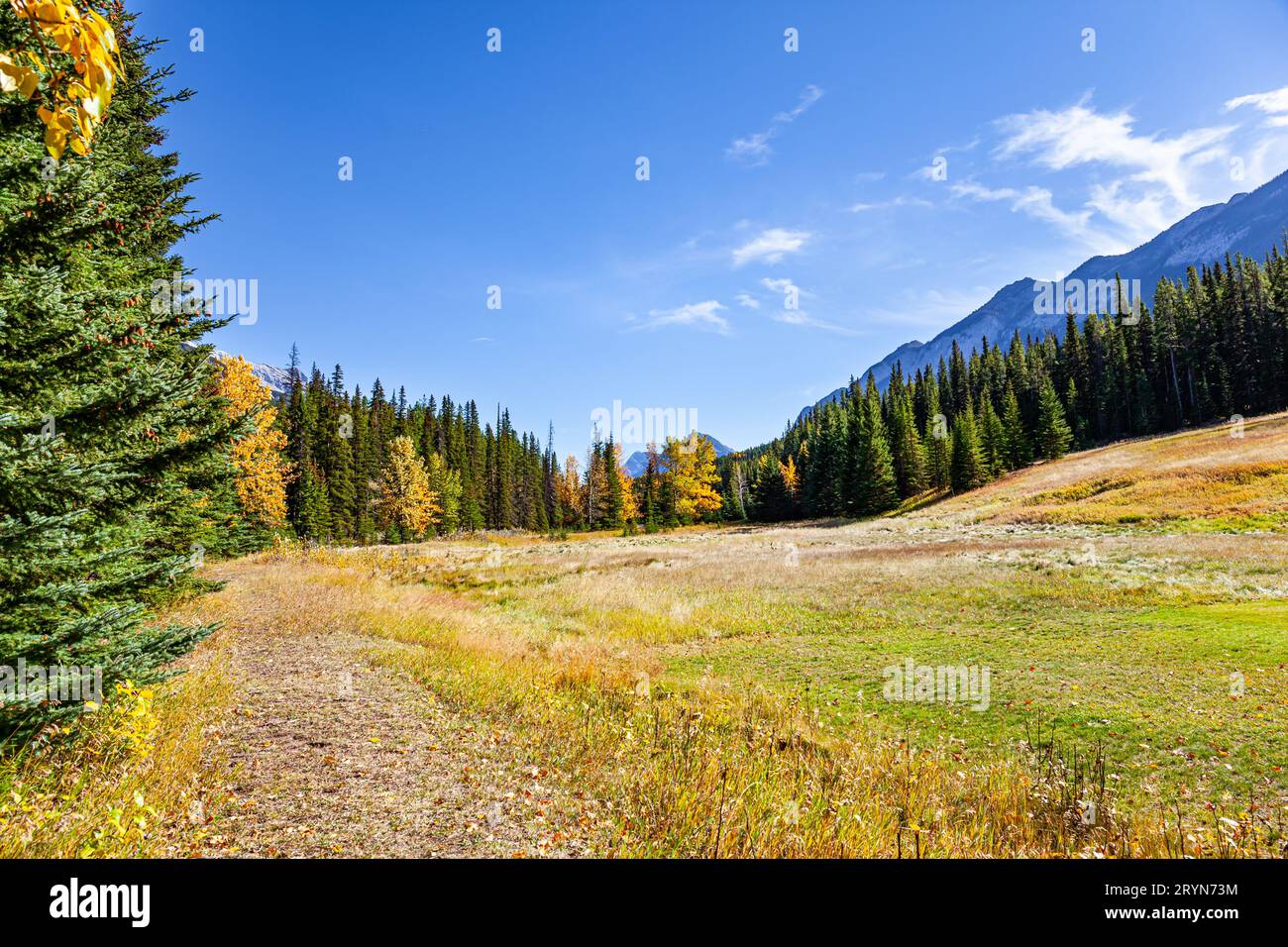 Indian summer autumn hi-res stock photography and images - Alamy