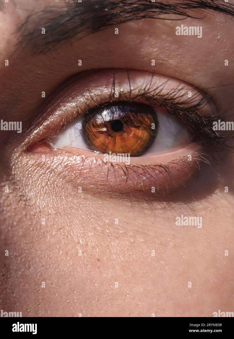 Close woman eye images, beautiful brown color of the iris of the eye. Woman eye images. Stock Photo