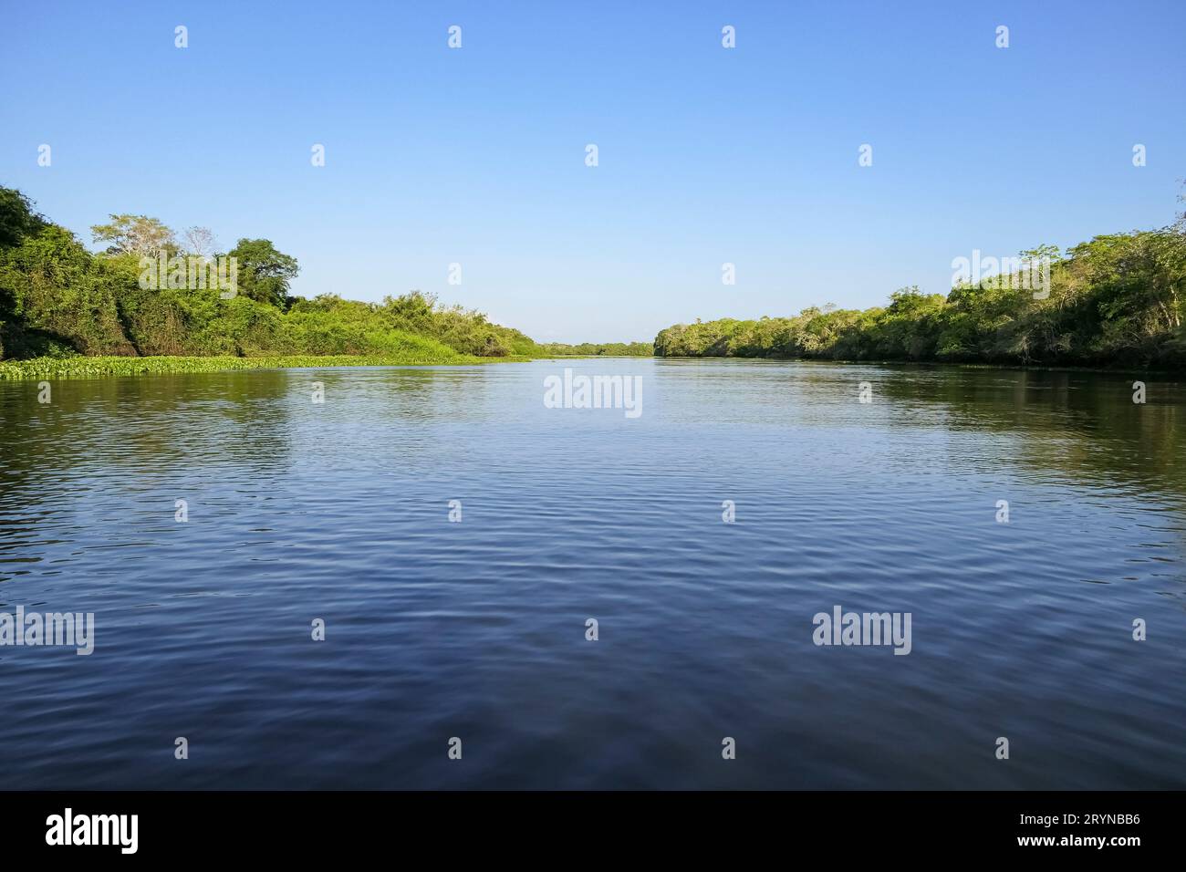 Cerrado ecosystem brazil river hi-res stock photography and images - Alamy