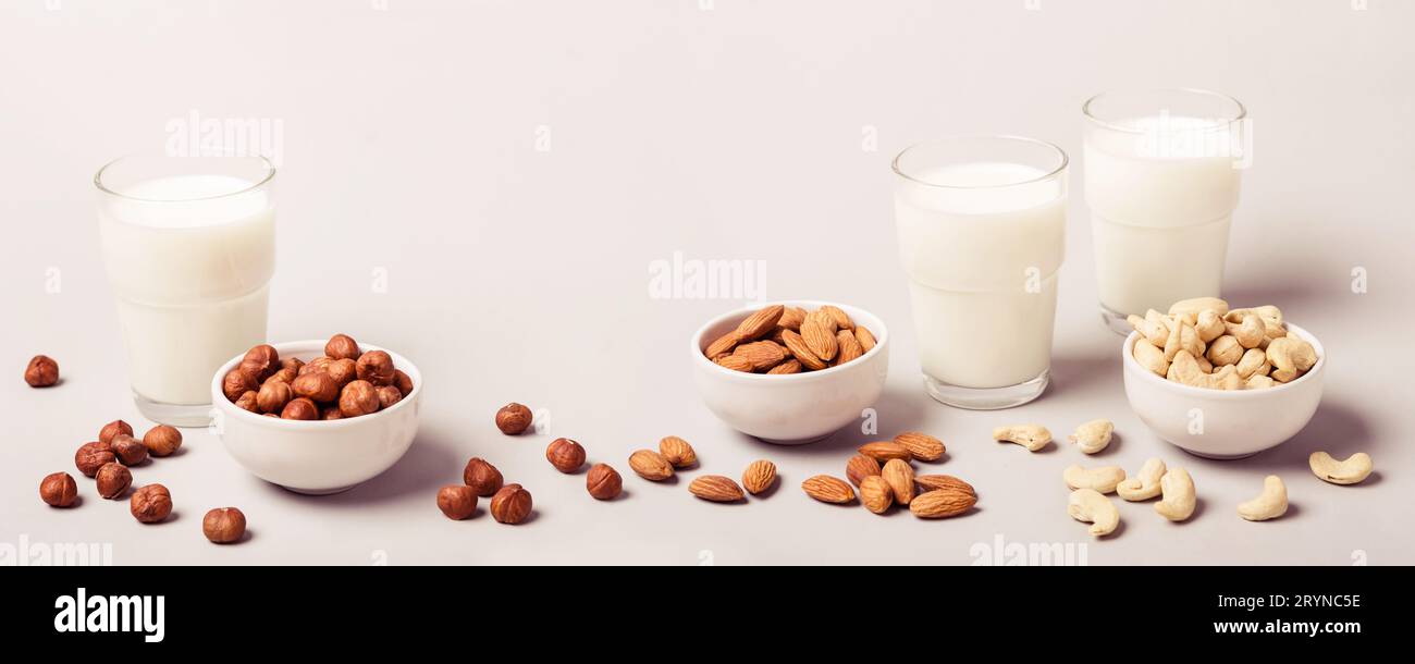 Different types of vegan non diary milk and ingredients. Health care and diet concept. Banner format Stock Photo