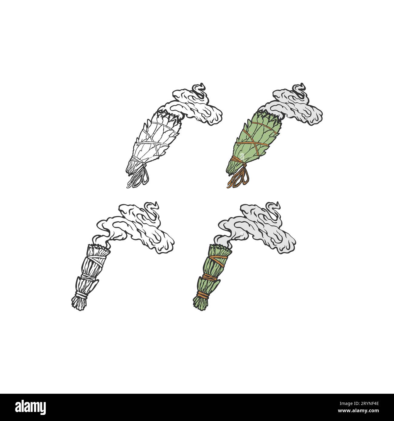 Set of sage plant illustration and badges logo template. Minimalist