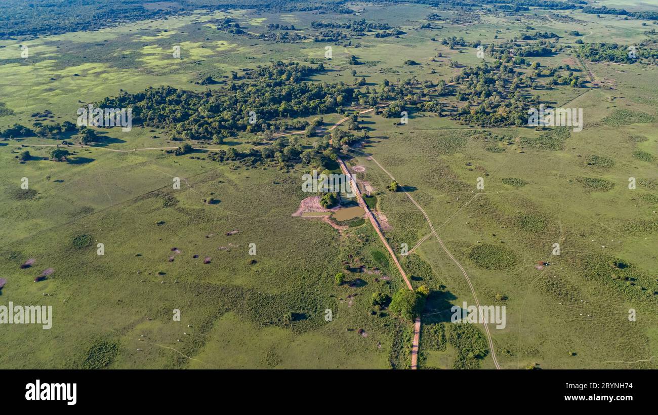 Mato grosso aerial hi-res stock photography and images - Alamy