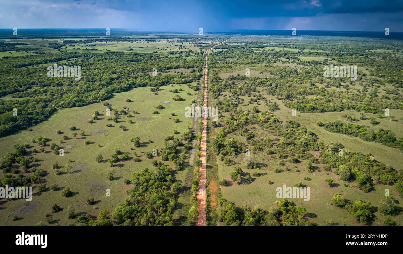 Aerial view of Transpantaneira dirt road crossing straight the North Pantanal Wetlands, Mato Grosso, Stock Photo